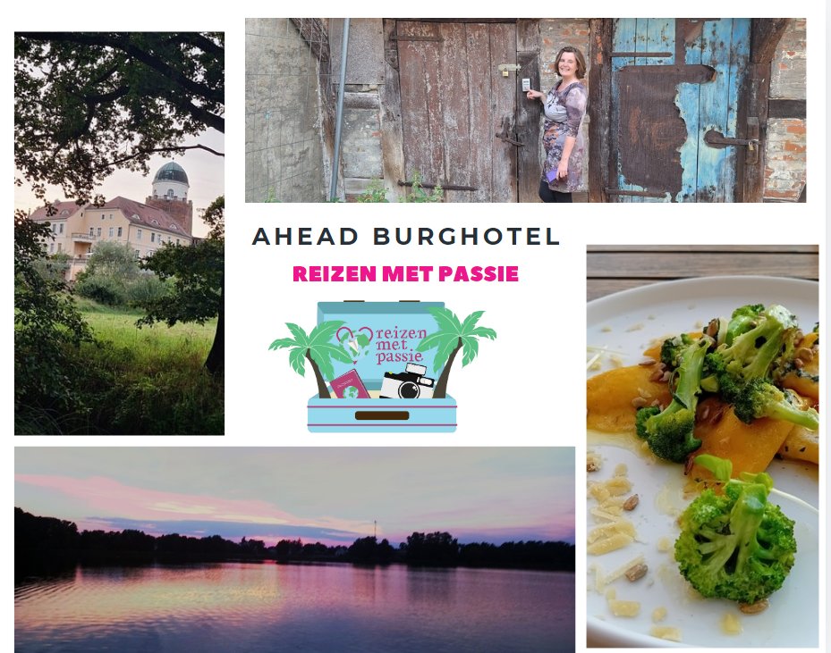 Ahead burghotel, vegan hotel Duitsland