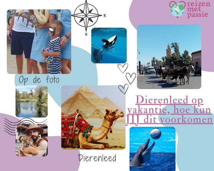 Dierenleed op vakantie, hoe kun JIJ dit voorkomen