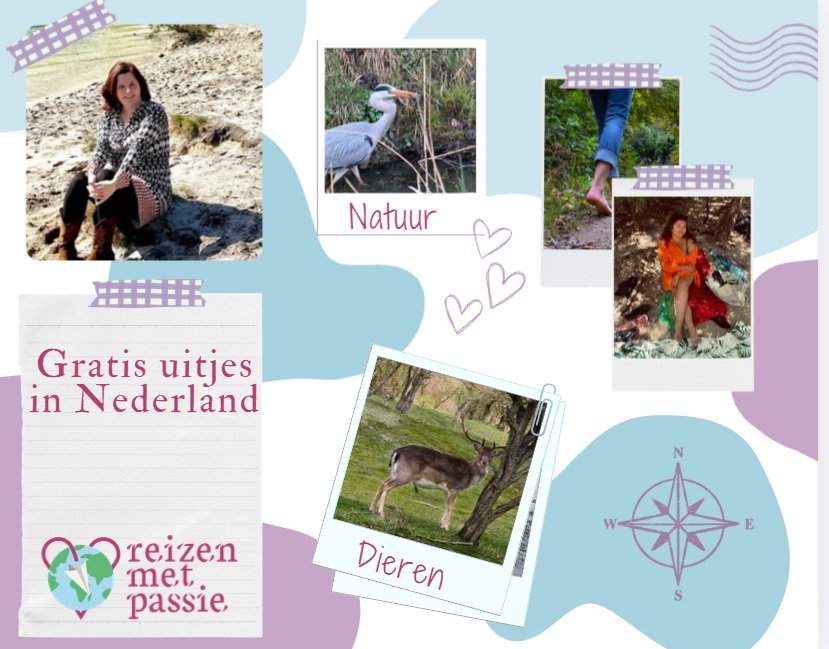 Gratis uitjes in Nederland: 15 leuke ideeën voor een dagje weg