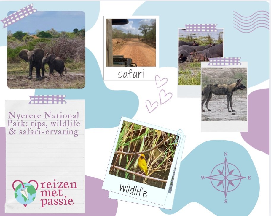 Nyerere National Park: tips, wildlife & safari-ervaring