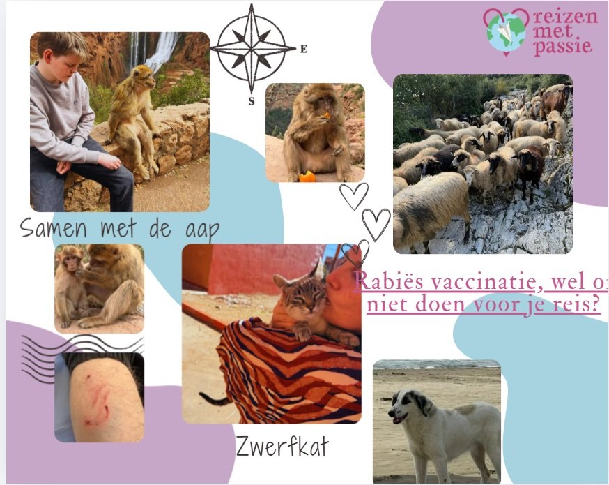 Rabiës vaccinatie, wel of niet doen voor je reis?