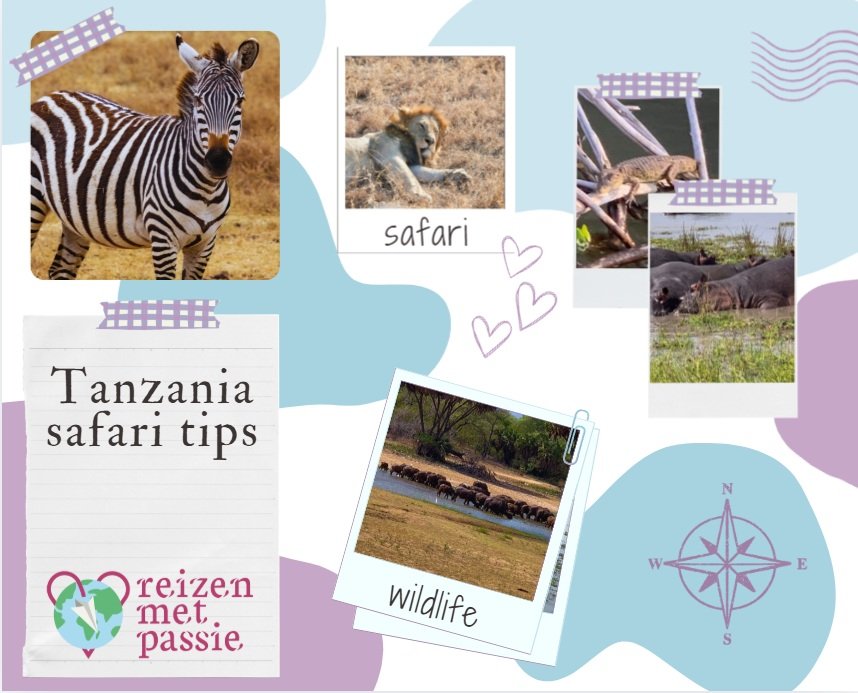 Tanzania safari, tips voor kleding, reizen en dieren spotten en nog veel meer